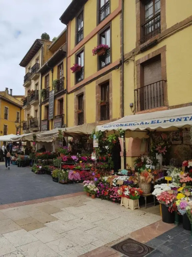Arco 4 Fontan Loft