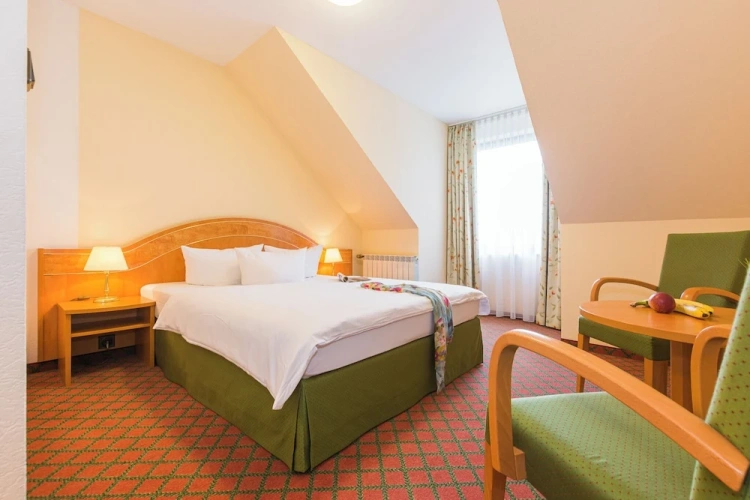Business Single room