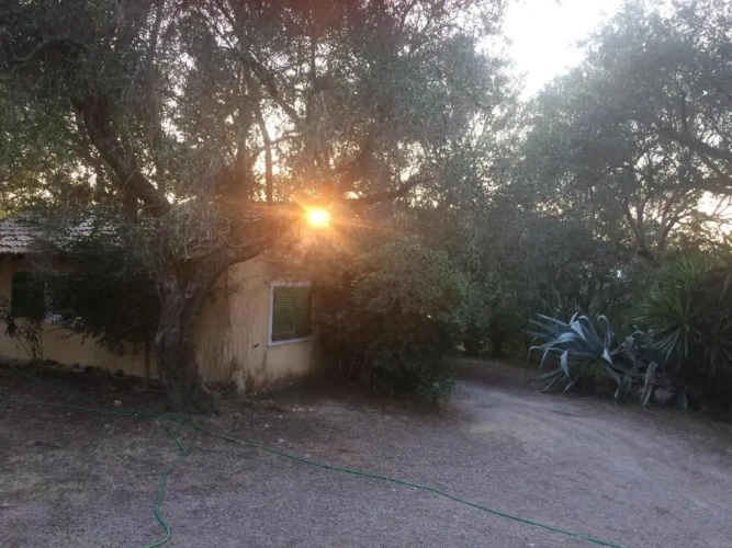 Cottage