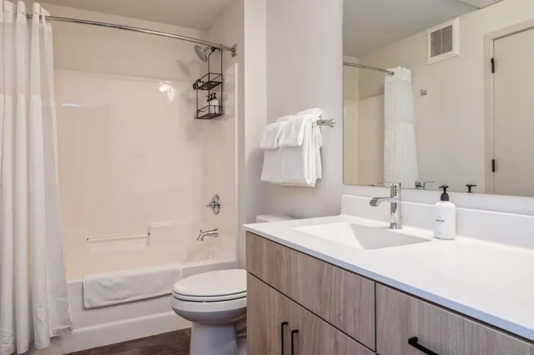 1 Bedroom Apartment
