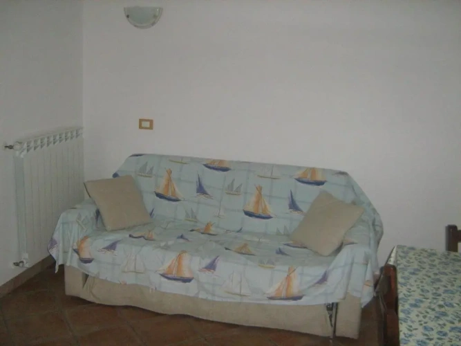 Basement Apartment