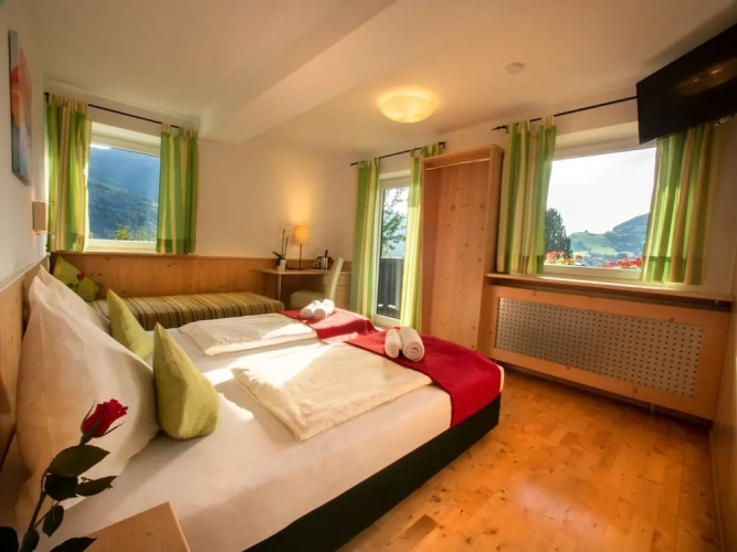 1 Bedroom Economy Double room with balcony and with mountain view