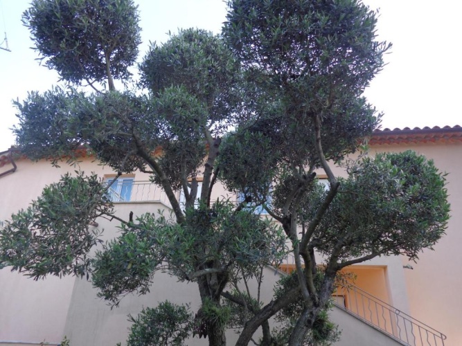 2 Bedrooms Comfort Apartment