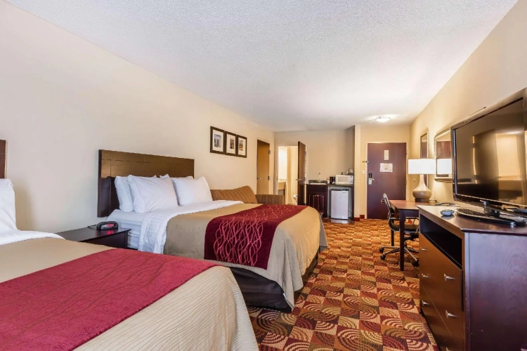 Quadruple Suite
