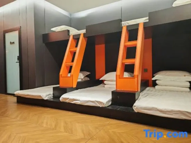 Bed in Dorm