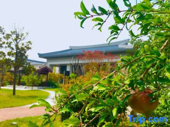 Xiaolangdi Zhongzhou International Hotel