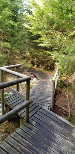 Ferienwohnung Vogelnest im Schwarzwald