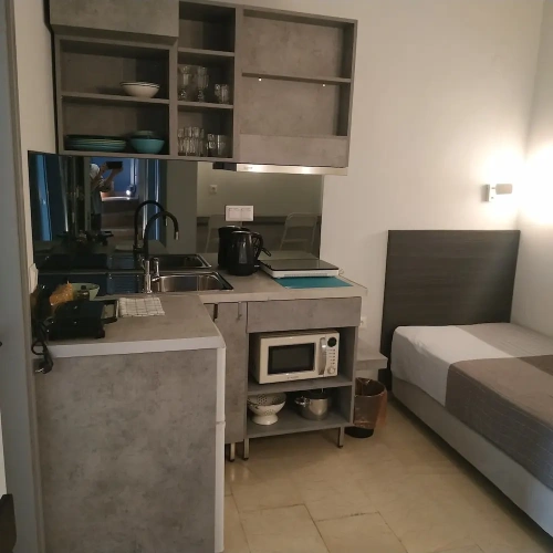 1 Bedroom Suite with city view