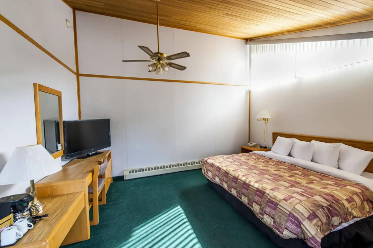 The Dorothy Motel