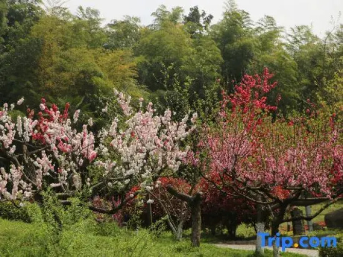 Ever-Joy Muxin Xiangcun Hotel