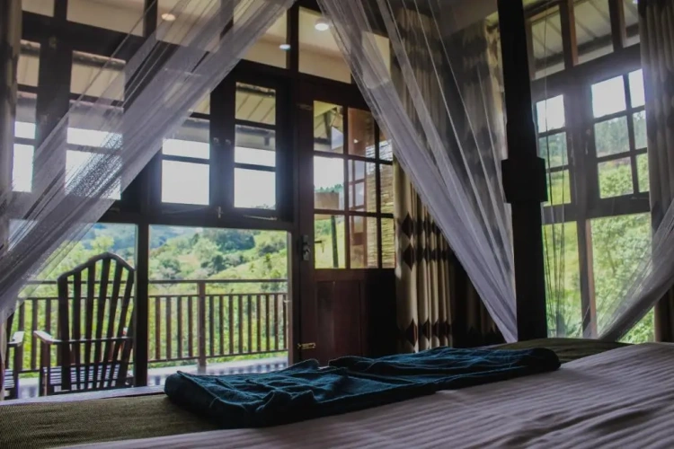 Standard Double room with garden view