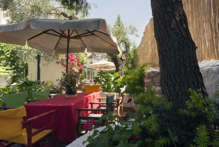 Studio with garden view