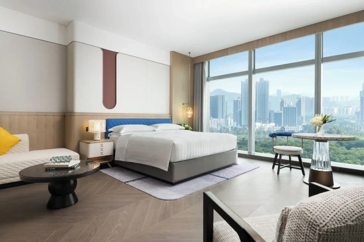 Deluxe Double Suite with city view