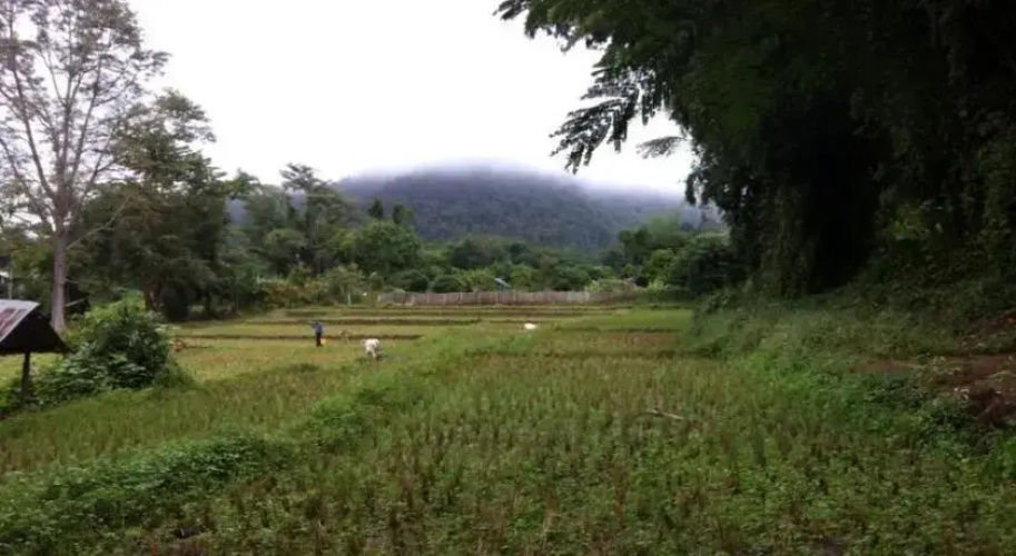 Chang Pai by John Bamboo Hut