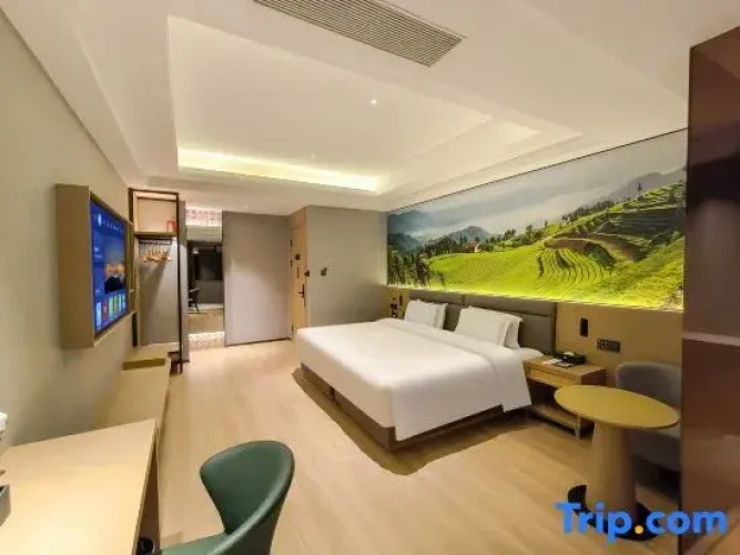 Standard Double Family room