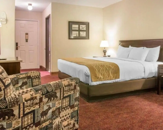 Premium room with lake view