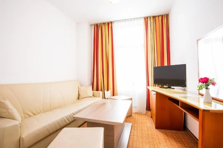 1 Bedroom Suite