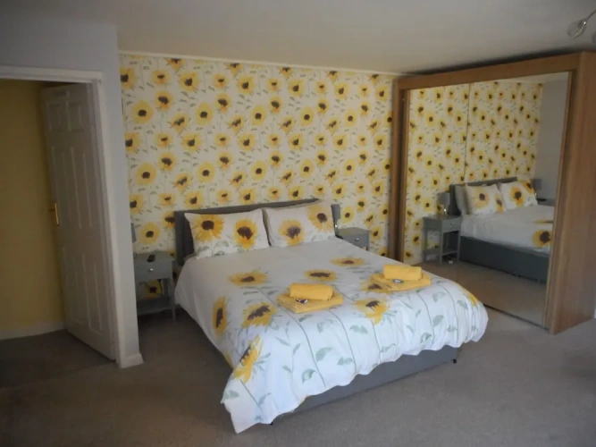 Superior Quadruple Basement room