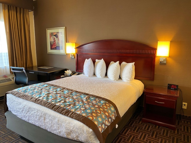 Accessible Double room