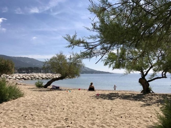 Beach