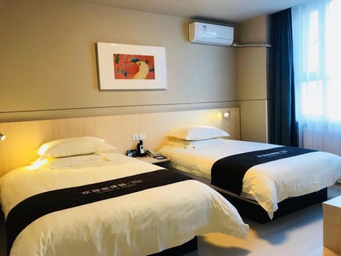 Standard Suite