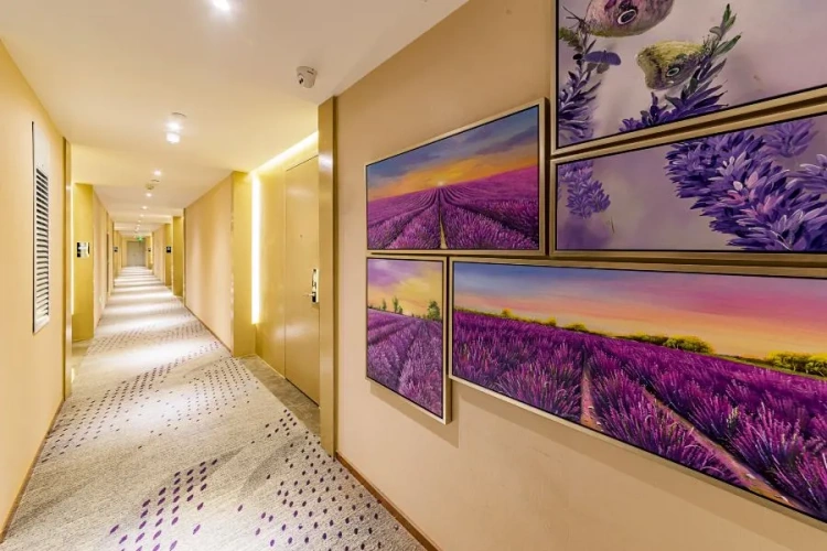 Hotel rooms