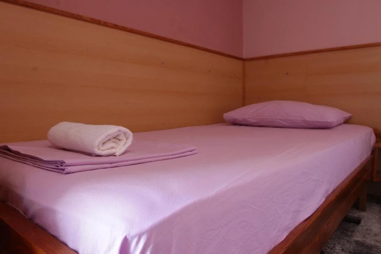 Ophrys I Mostar