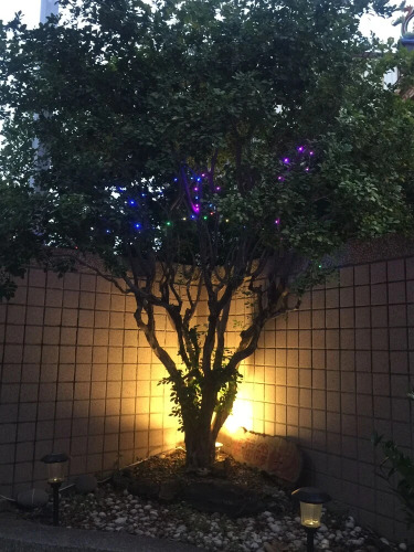 TainanHaitian Hotel Overview