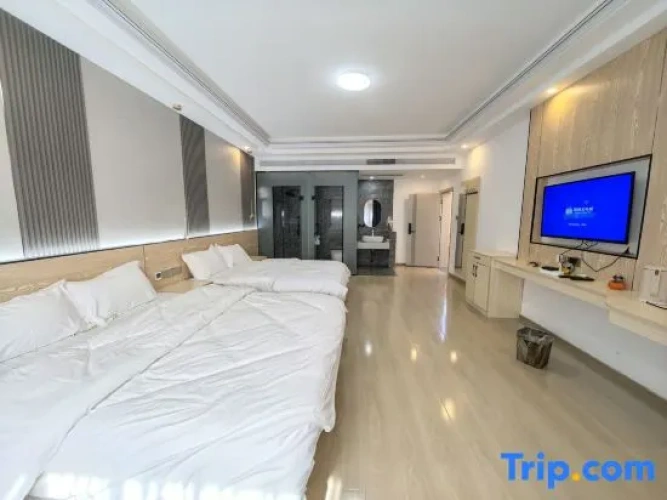 Standard Twin room with mountain view
