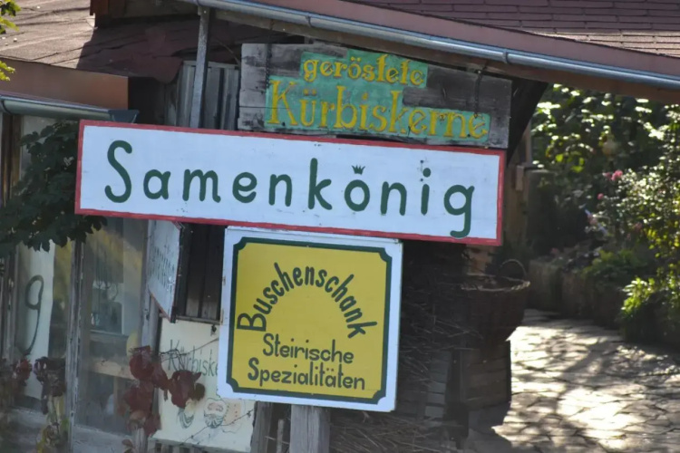 Samenkönig