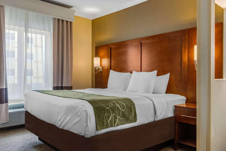 Comfort Suites Corpus Christi Central