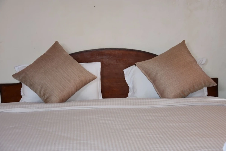 Standard Double room with balcony and with view