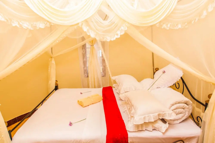 Amazing Arusha Furaha Lodge