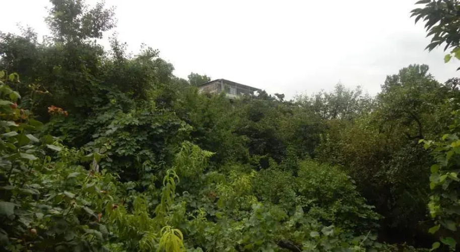 Siram B&b