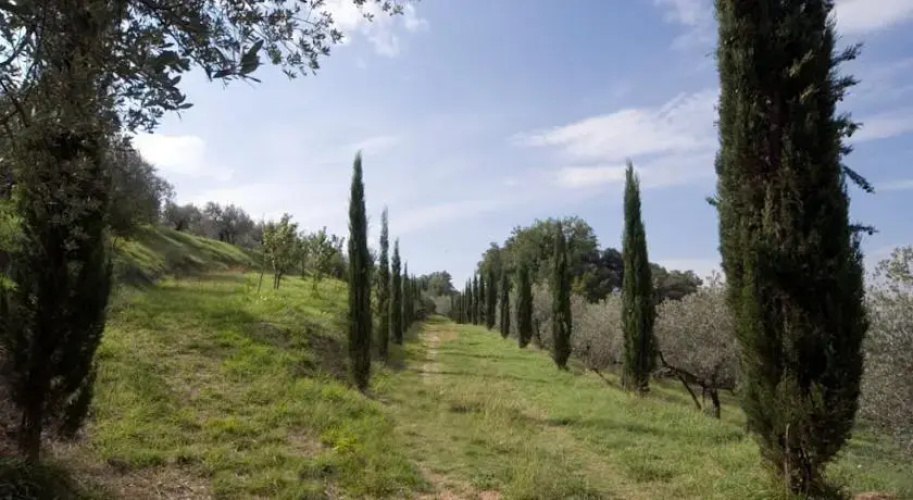 Agriturismo Villa Plini