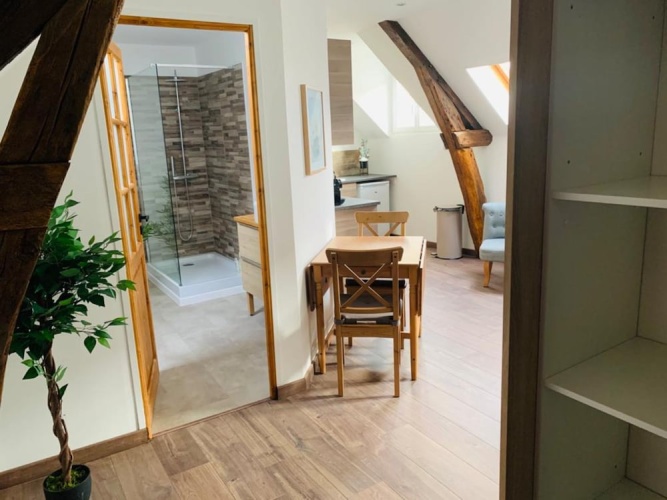 Comfort Penthouse room