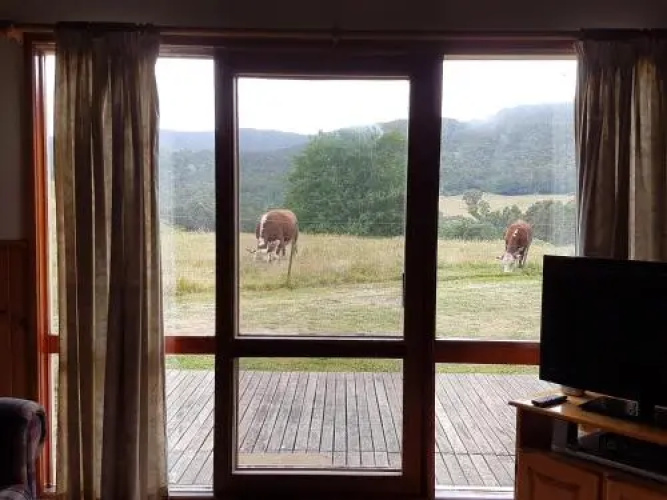 Jamieson Valley Retreat