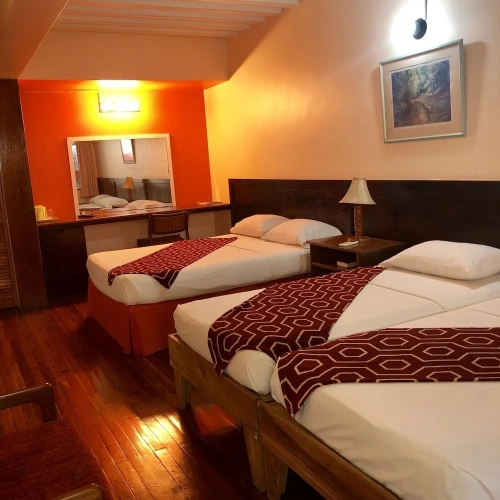 Standard Double room with balcony and with view