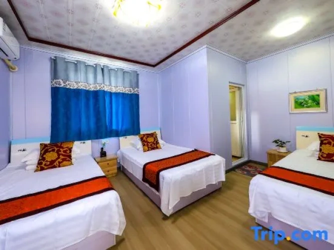 Standard Triple room with view