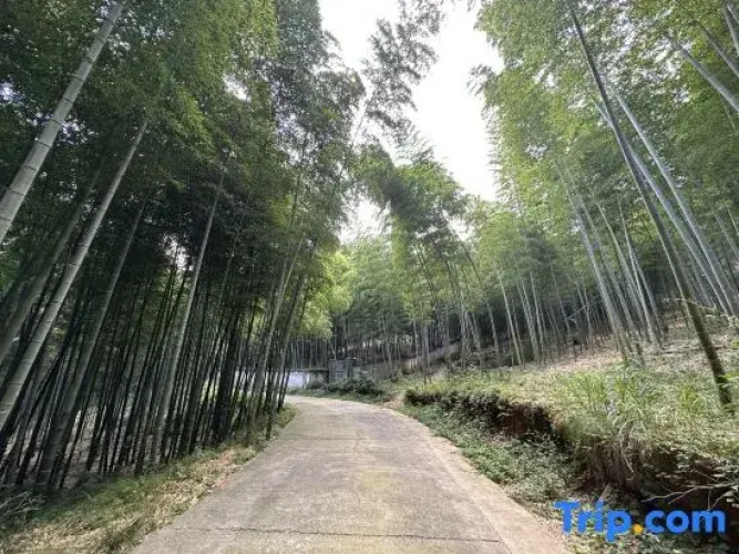 Nanxi Homestay