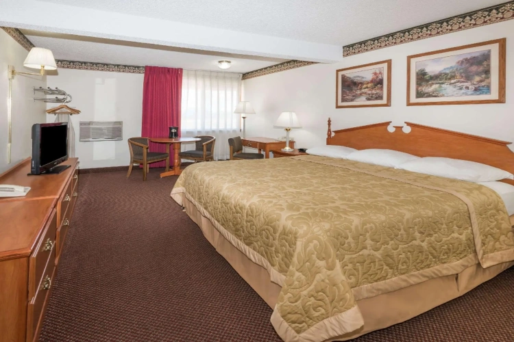Standard Double room