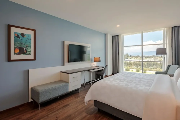 Standard Double Club room