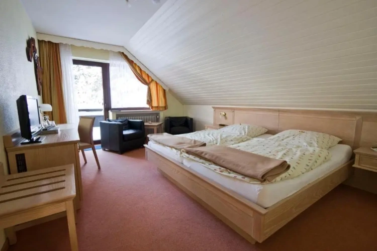 Standard Double room with balcony and with view