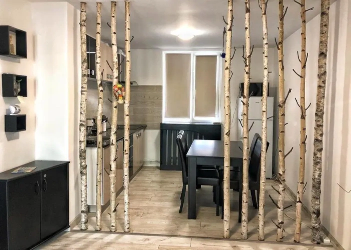 Double Basement Apartment