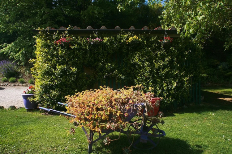 Rosemarie B&B