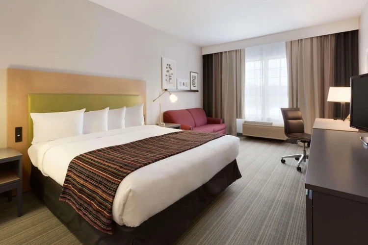 1 Bedroom Suite