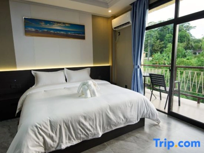 Deluxe Double room with city view