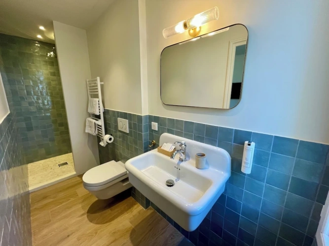 Standard Double room with garden view