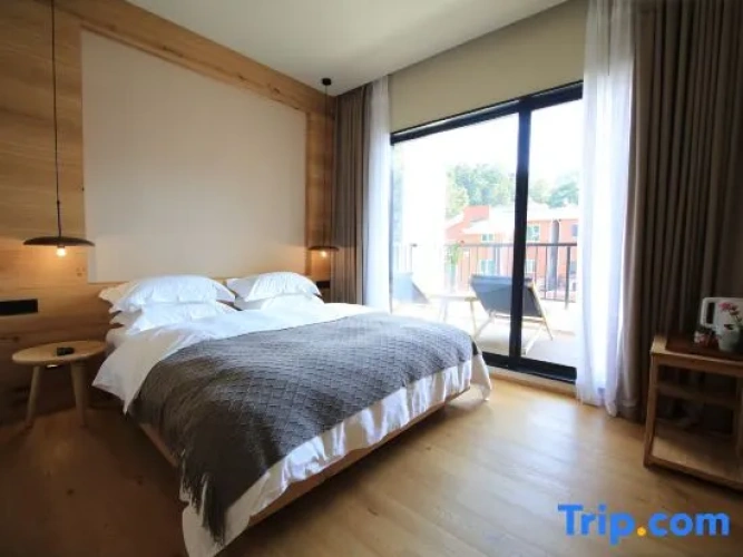 Business Double room with balcony and with view