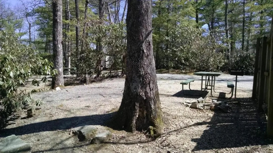 Outside